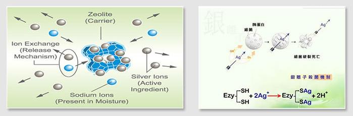 银离子抗菌原理.jpg
