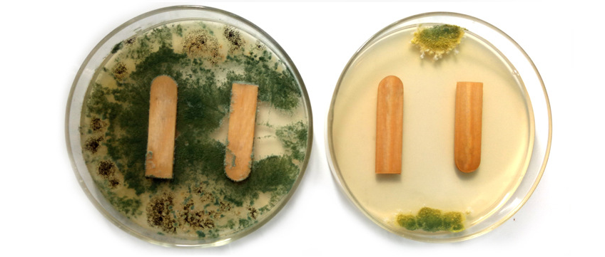 1596684526710417.png 对比.png