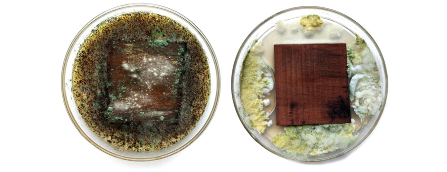 1596684763736326.png 微信截图_20200806113229.png