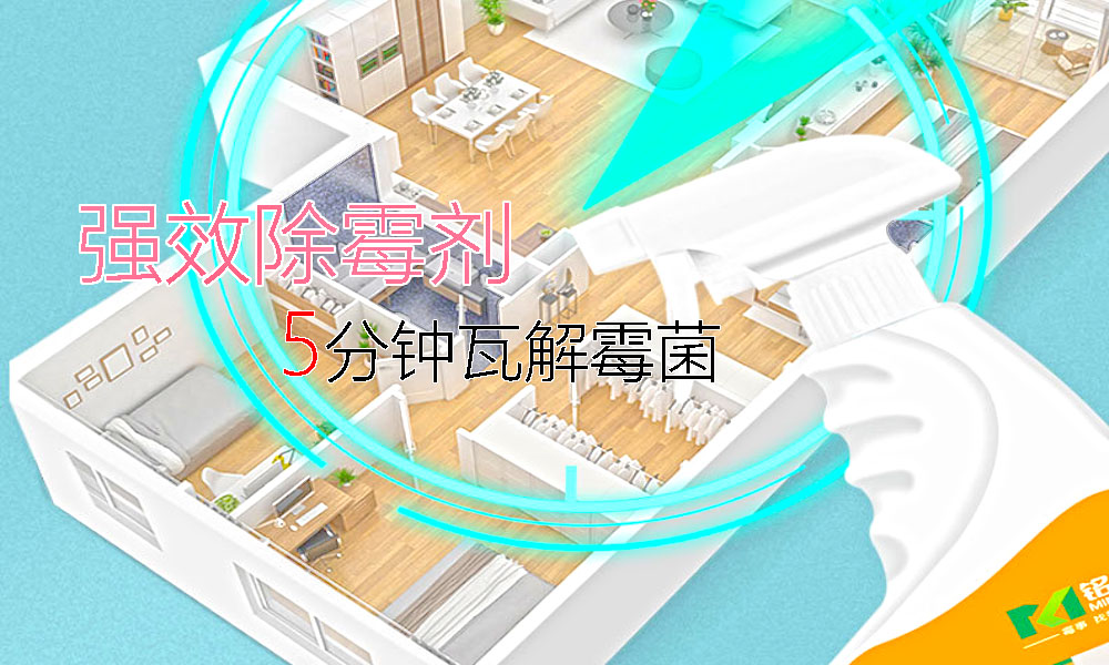 除霉剂哪个牌子好 墙壁热门除霉剂品牌选购